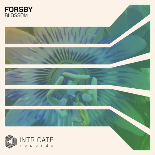 FORSBY - Blossom [INTRICATE511]